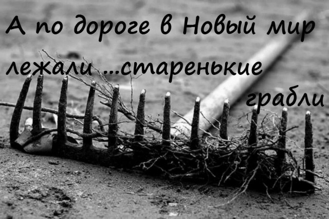 Пригожин ответил противникам блокировки YouTube