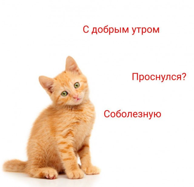 Немного мемчиков. Для взрослых. Часть 22