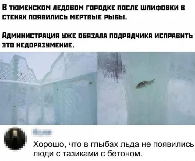 Забавные комментарии из социальных сетей (07.11.22)