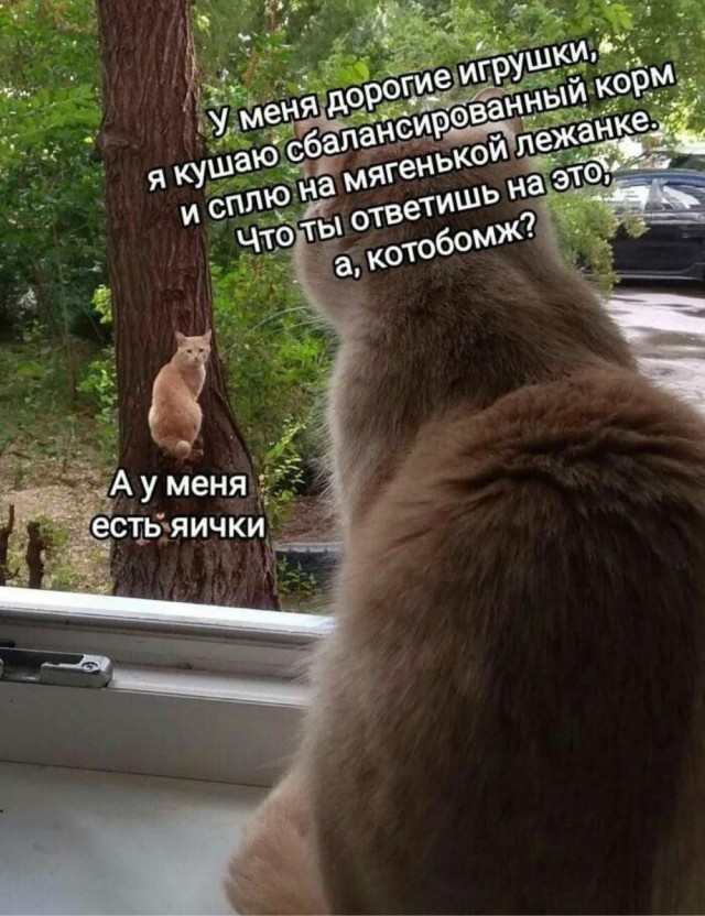 Нет, только показываю
