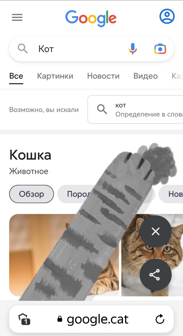Новая пасхалка от Google