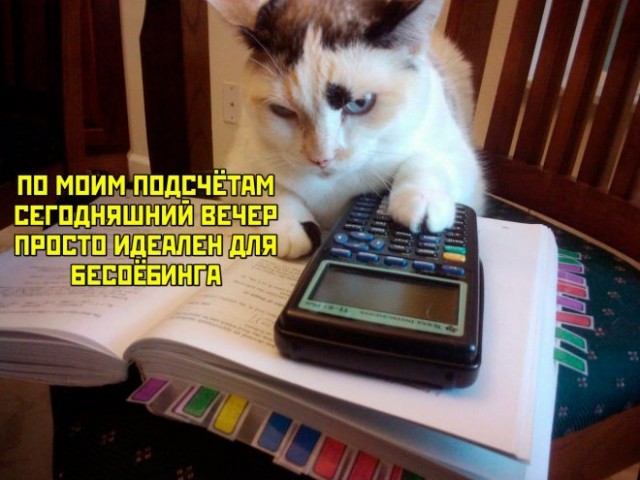 Немного картинок для настроения - 129