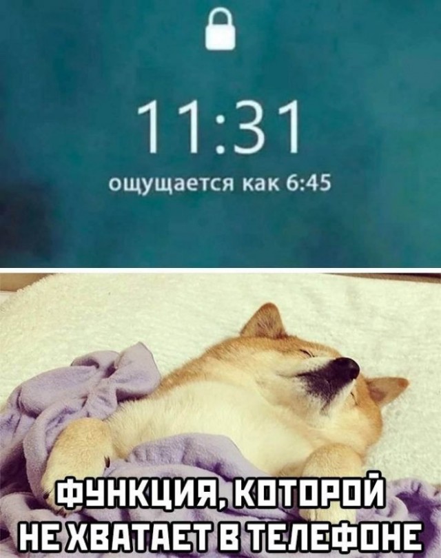 Так себе картинки 26.02.23