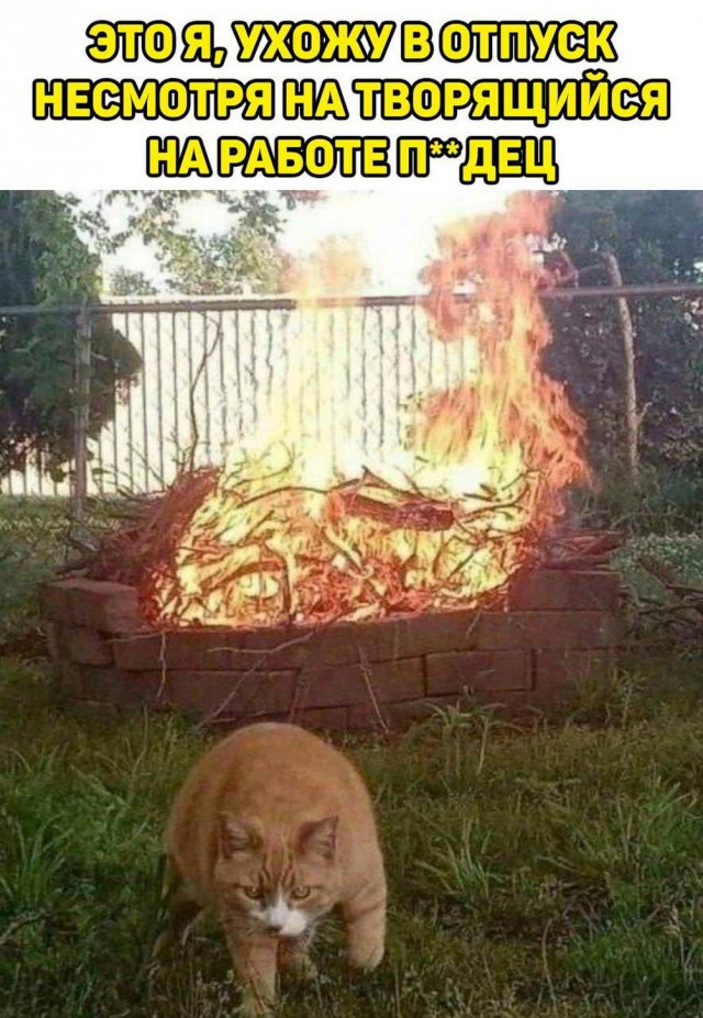 Картинки весёлые, вроде