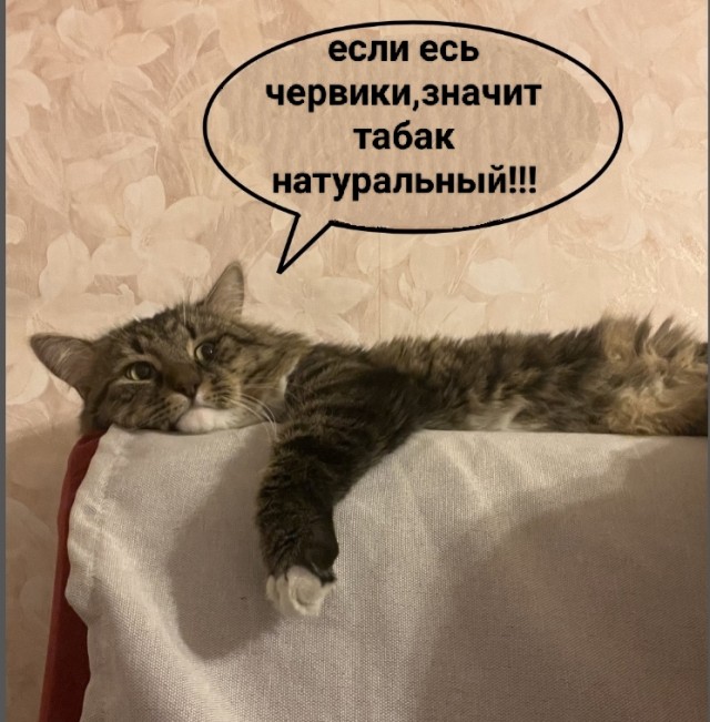 Что в табаке?