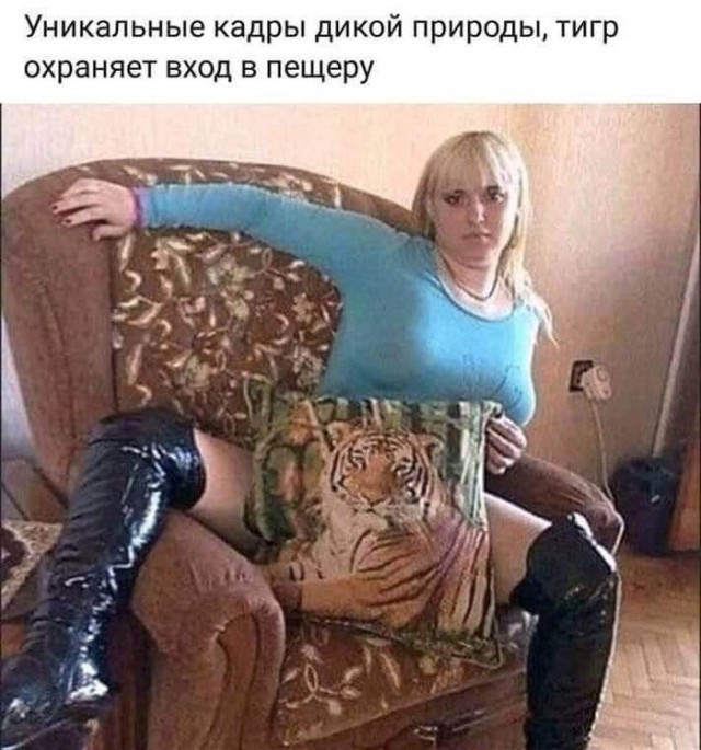 Нуштош 10.08.2023