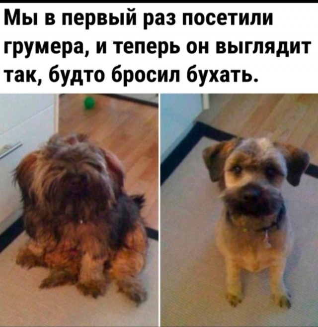 Как же наивны запойные алкоголики!