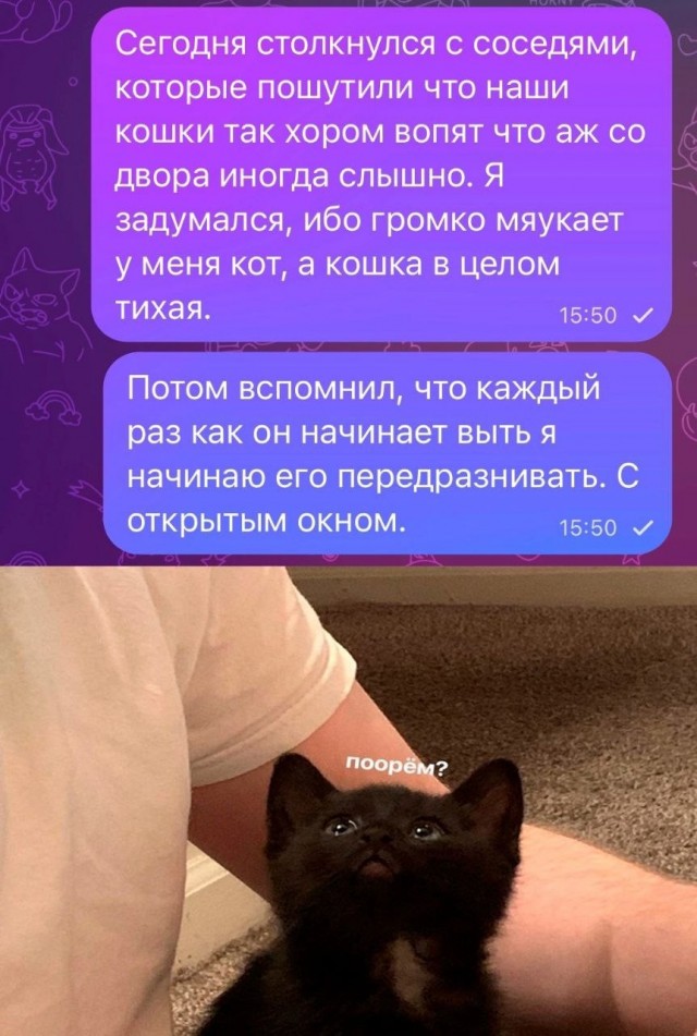 Скриншоты и комментарии из социальных сетей 07.10.23