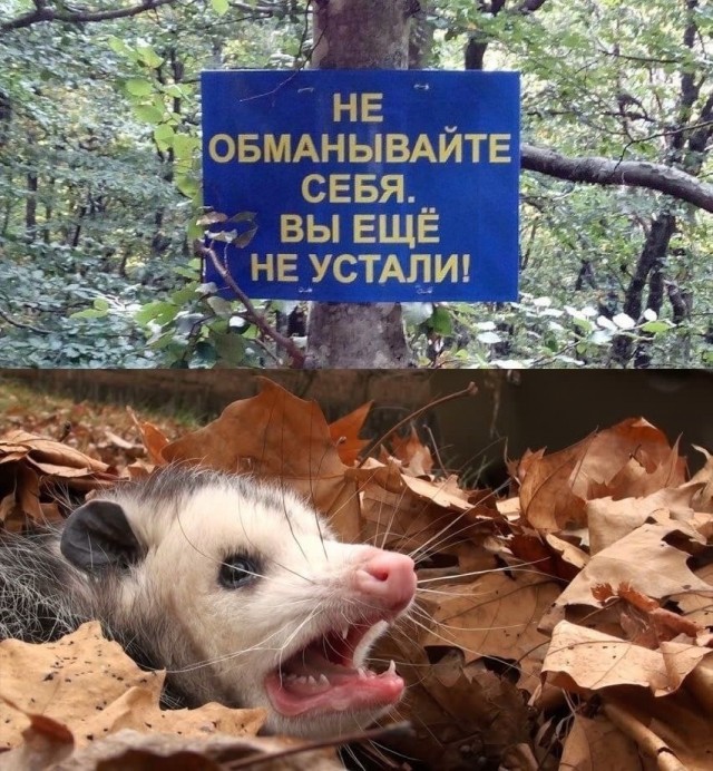 Так себе картинки 16.02.24
