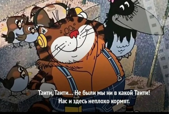 Голубов, бросай Пахачи и в Питер
