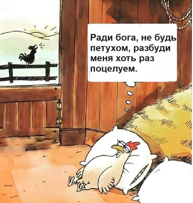 Картинки разные с надписями и без