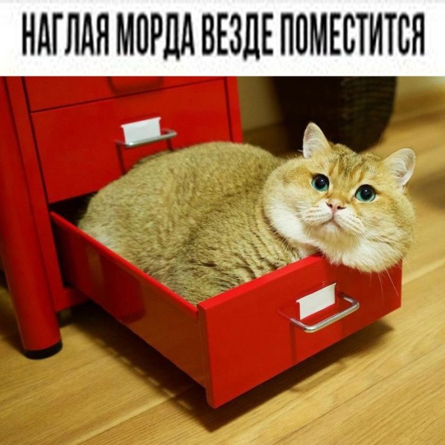 Так себе картинки 02.09.24