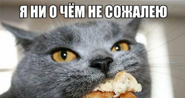 Я не толстый!