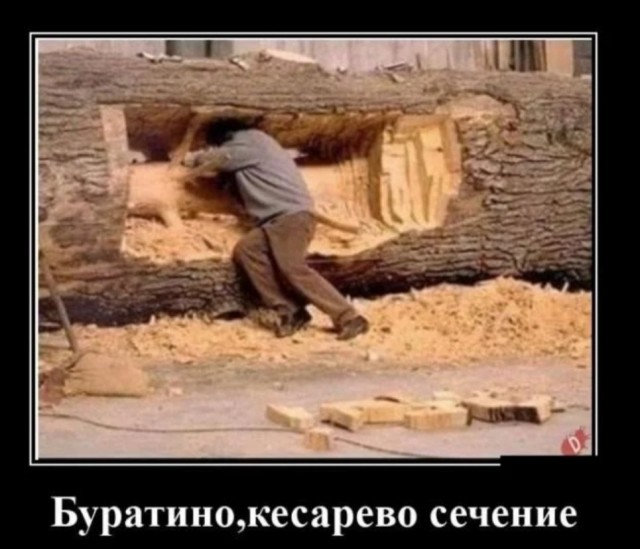 Так себе картинки 19.09.24