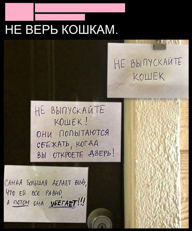 Так себе картинки 23.10.24