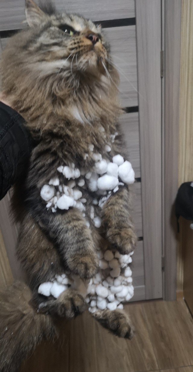 Беги, Наташа