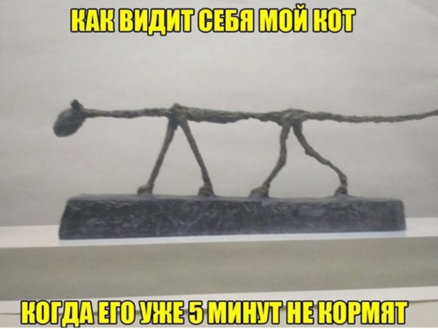 А говорили - у него лапки