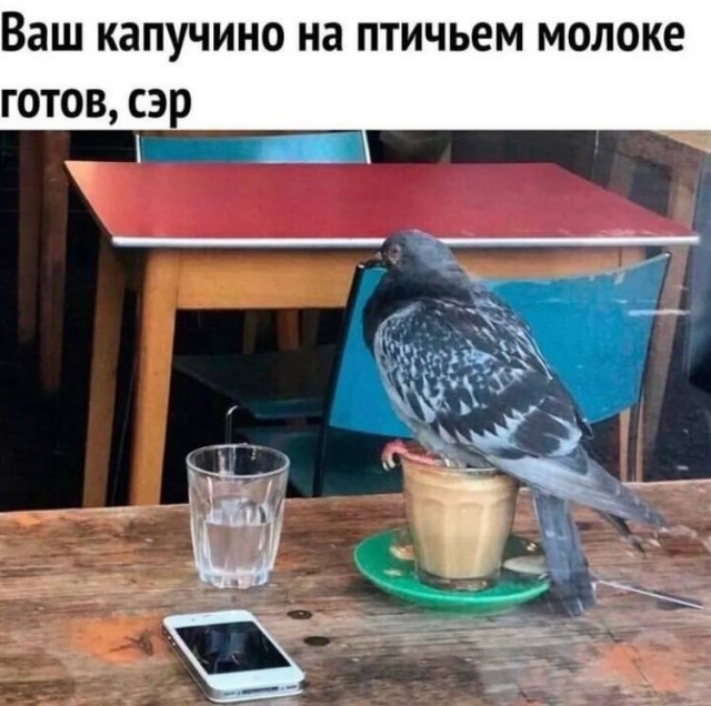 Завалялось тут случайно немного забавных картинок