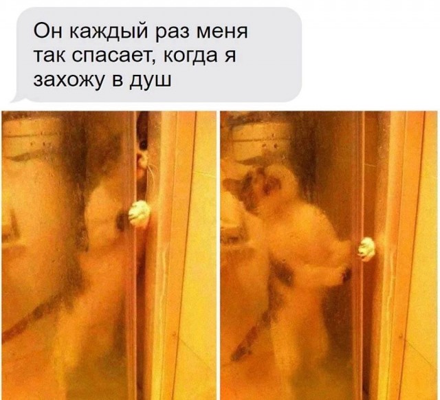 Веселые картинки в понедельник 28.04