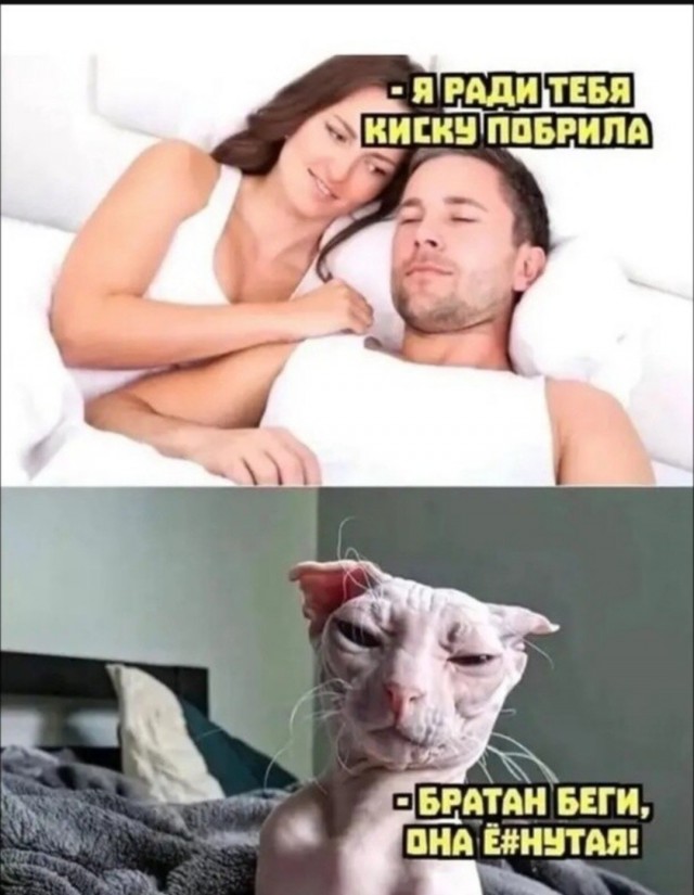 Завалялось тут случайно немного забавных картинок