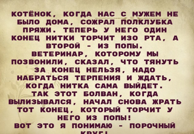 Так себе картинки 02.07.25