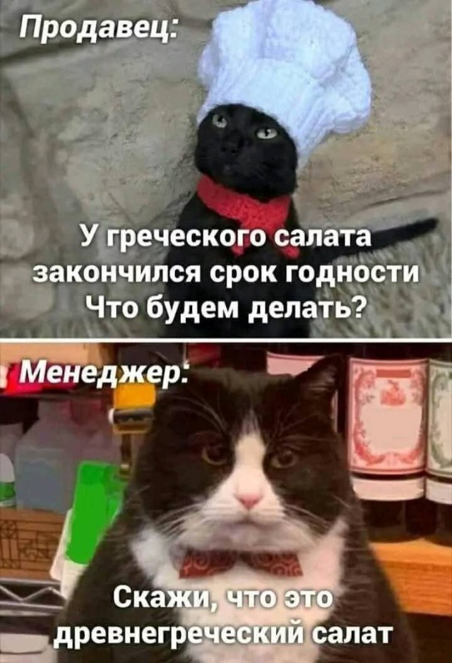 Картинки для деградации 26 (разной степени свежести)