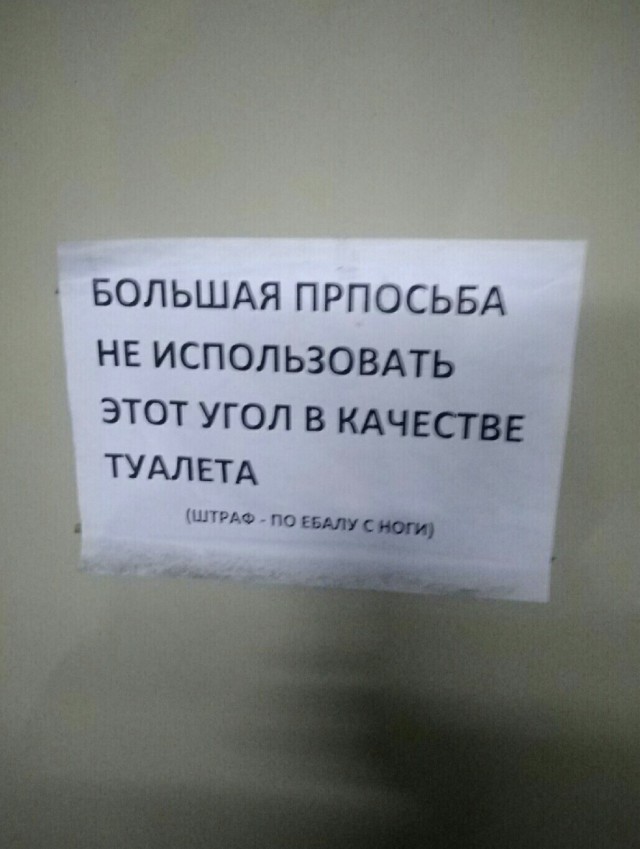 Так себе картинки 24.08.25