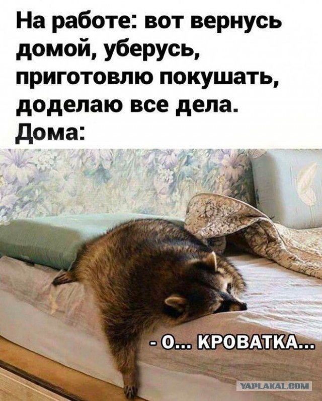 Летели два напильника, летели на боку