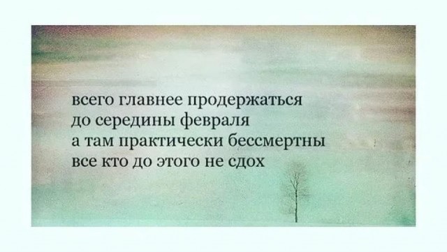 Дегрономикон 5