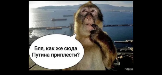 В одном из торговых центров 9-летняя девочка вытянула iPhone 16 из автомата, но в коробке оказалась шоколадка