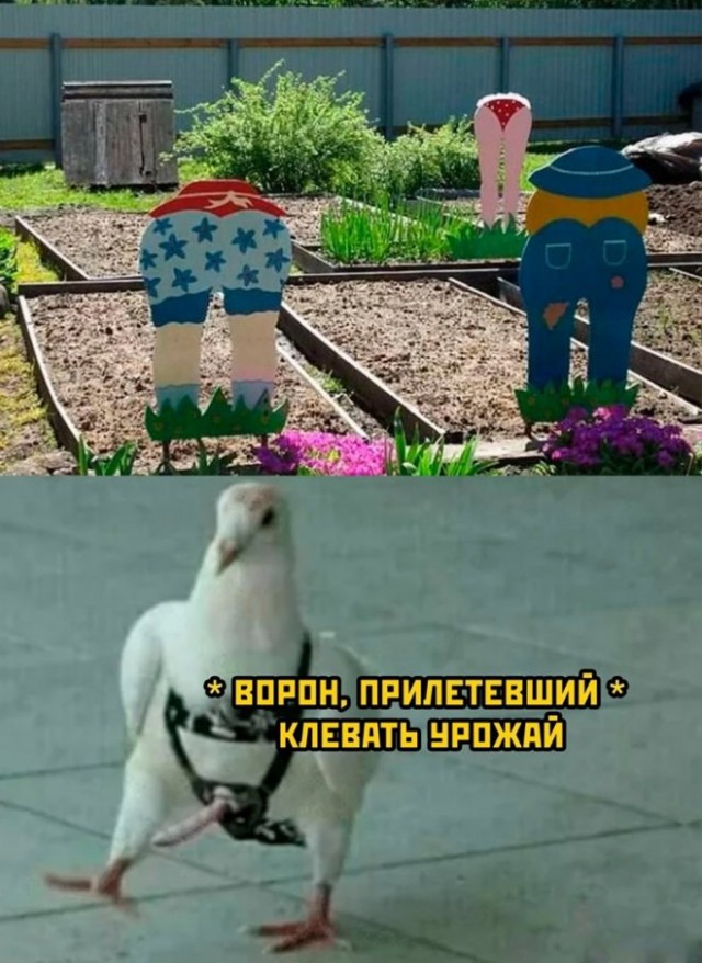 Веселые картинки в маленькую пятницу