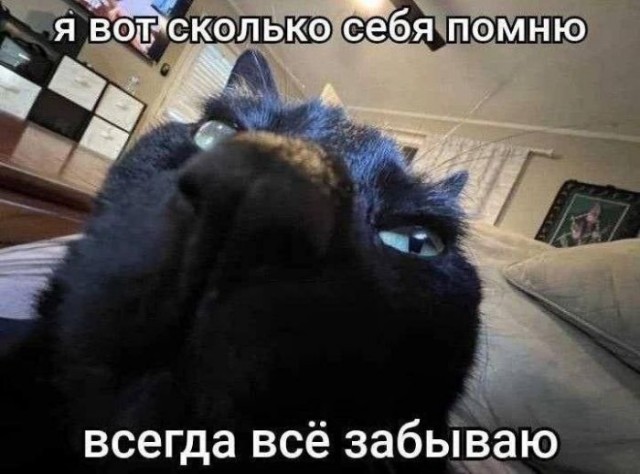 Картиночки, баянчики 27 февраля
