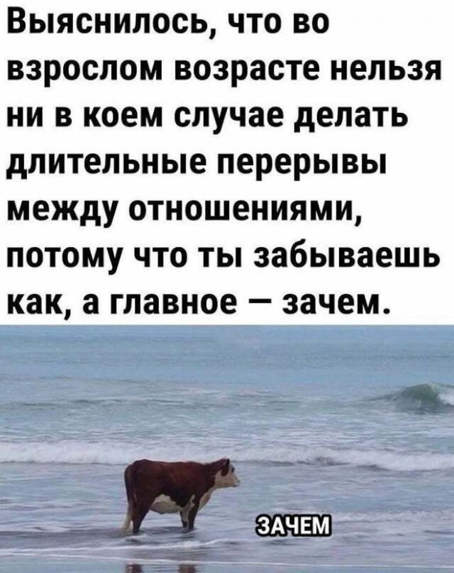 Картиночки, баянчики 14 марта