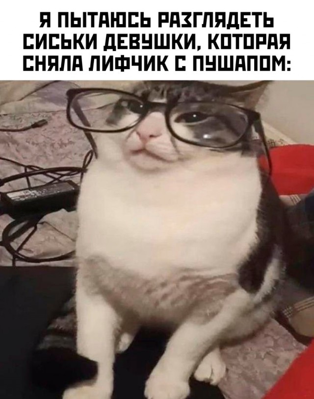 Котямбосы