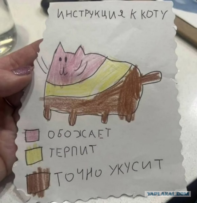 А как спит ваша котейка