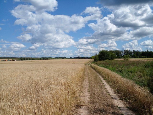 Фотожелания ЯПовцев 2026