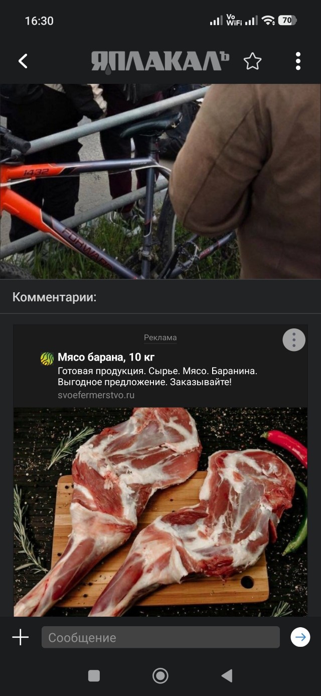 Парень с девушкой ехали на одном электровелосипеде.
