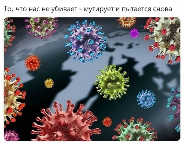 Есть только один способ избежать критики: ничего не делать, ничего не говорить и быть никем.