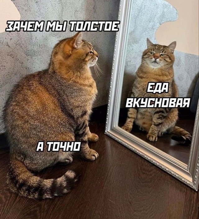 Картинки для деградации 236 (разной степени свежести)