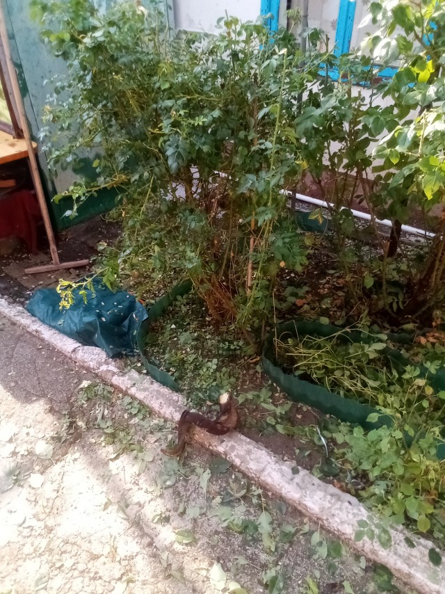 Возможен не большой дождь...