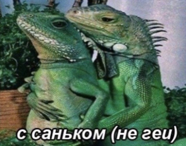 Рептилоиды