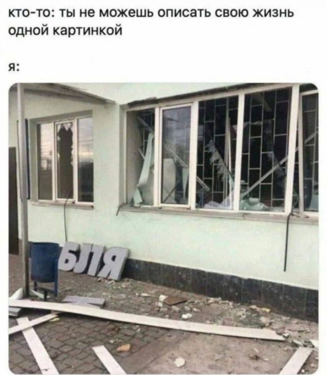 Картинки для деградации 296 (разной степени свежести)