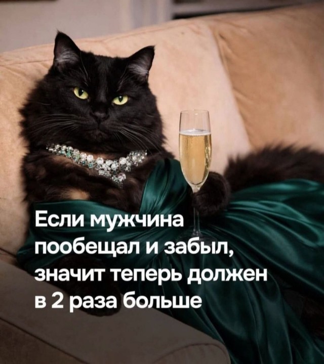 К котовторнику: подборка картинок-баянов с котиками и про котиков. Выпуск 46