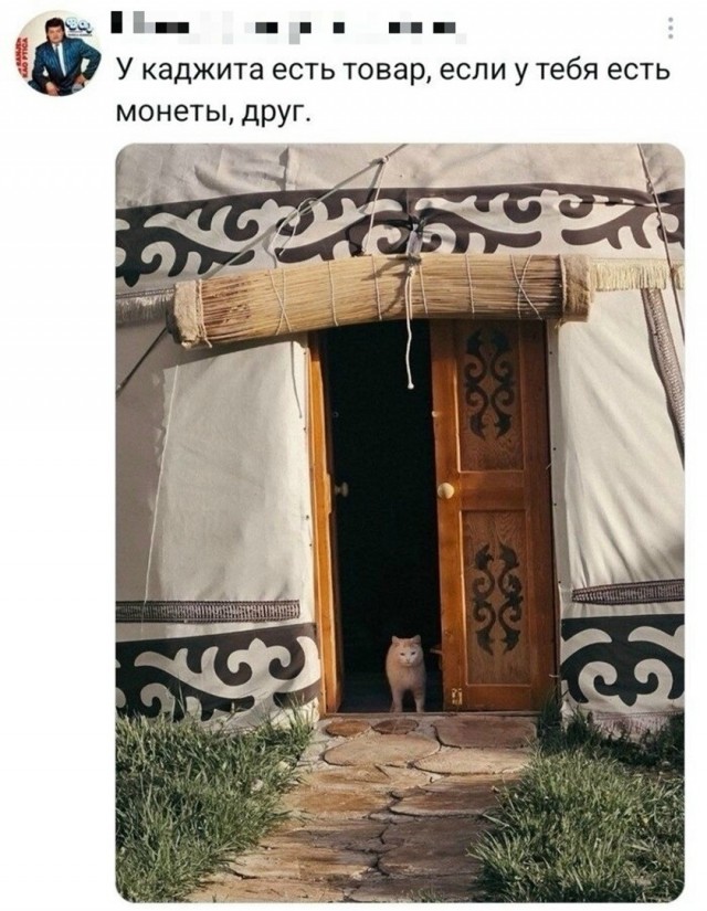 Так себе картинки 25.10.26