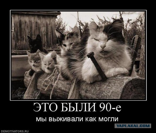 Россия, 1993 год