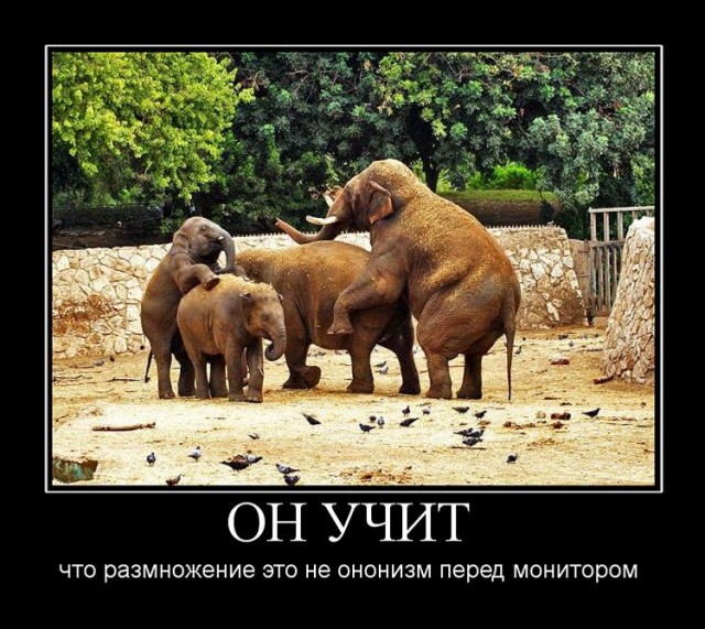 Демотиваторы