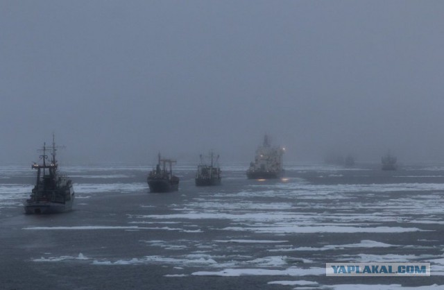 Под знаком Полярной звезды