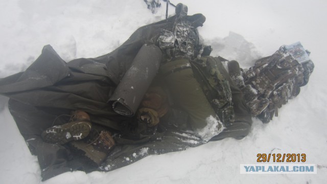 Пурговое
