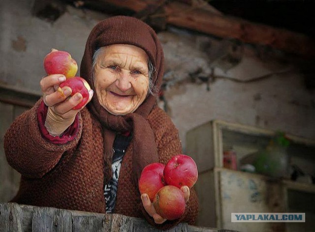 День семьи!