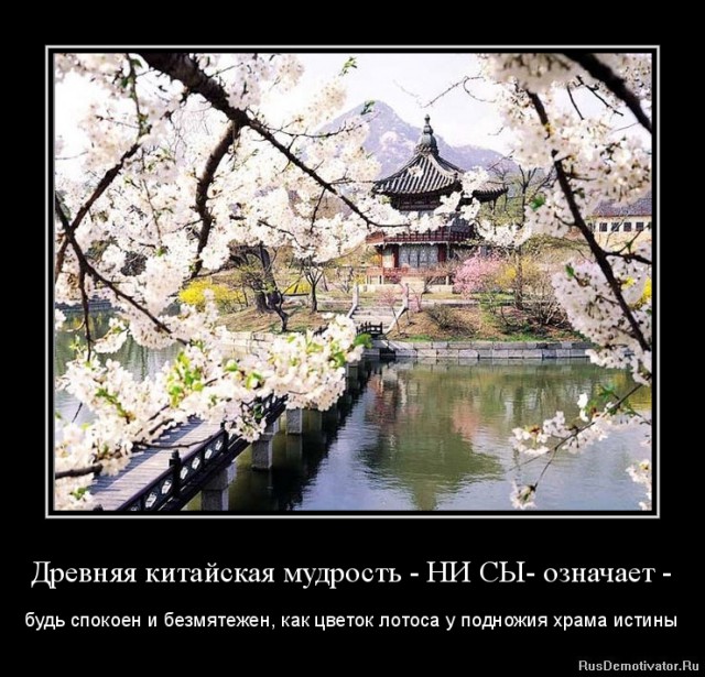 Вы хотите "демов"? часть 2-я